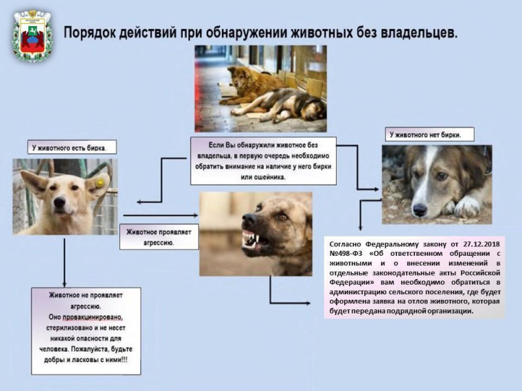 Уважаемые жители Каргасокского района, владельцы собак!.