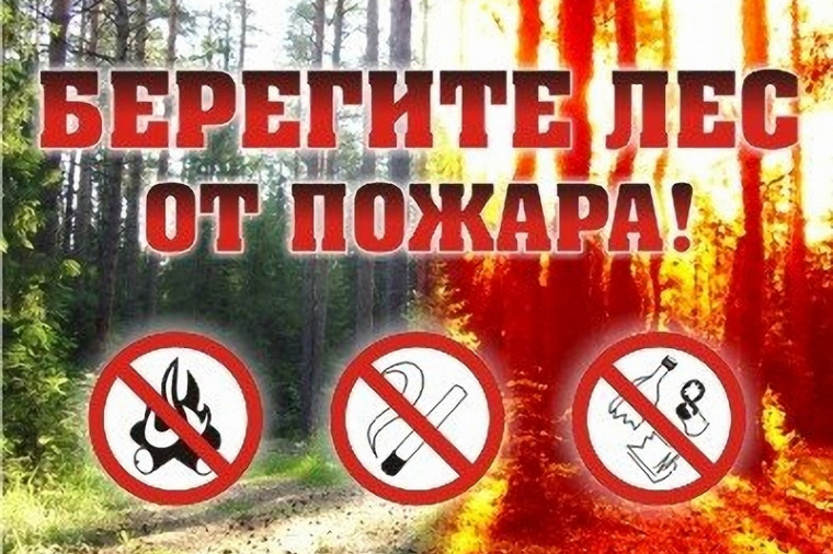 Памятки «О правилах пожарной безопасности в лесах». Памятки «О правилах пожарной безопасности в лесах».